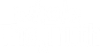 Whole The Truth